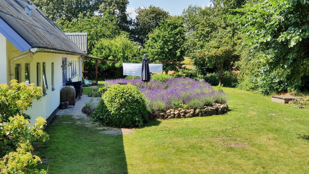 Rolso Retreat Villa Knebel Екстериор снимка
