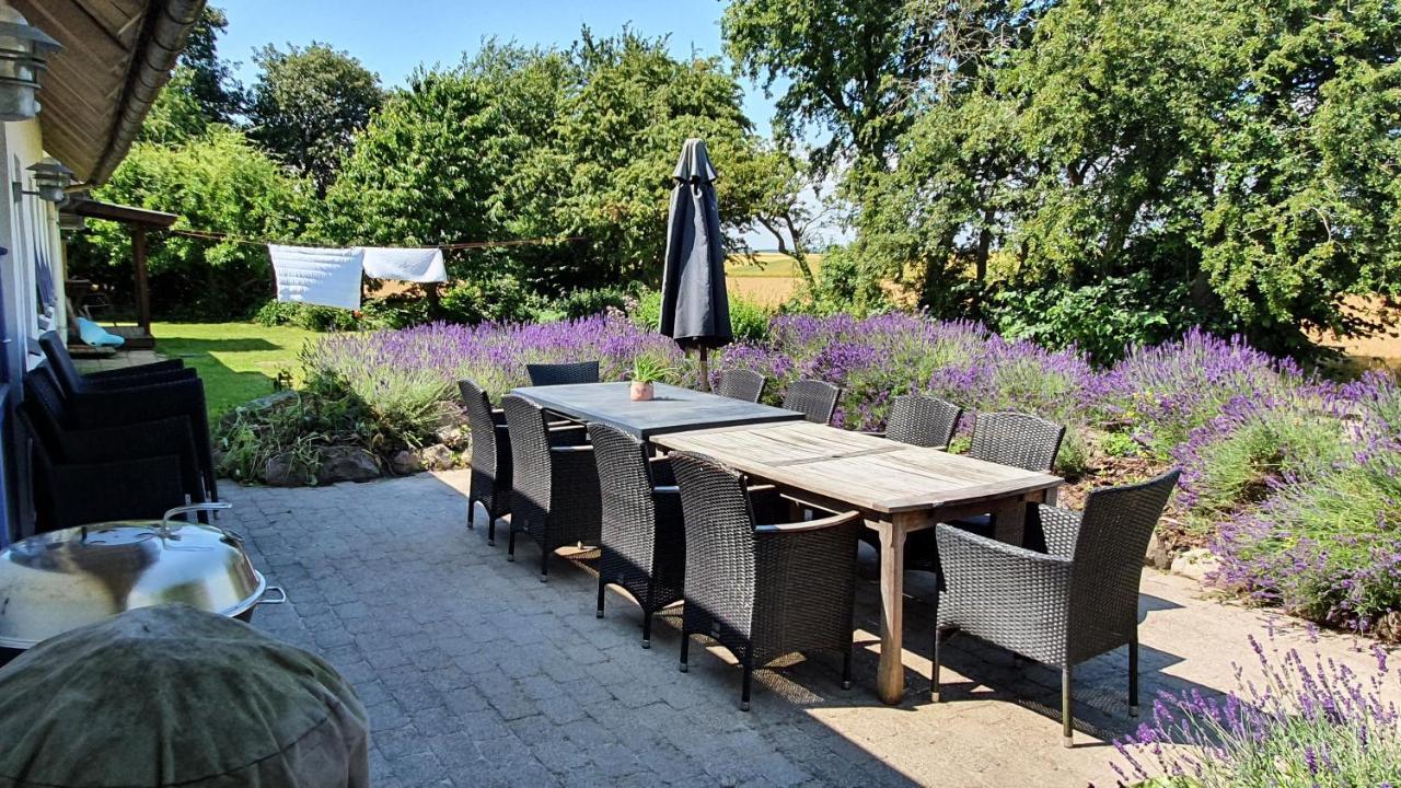 Rolso Retreat Villa Knebel Екстериор снимка